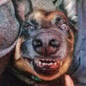 Fundraising Page: Chris Hattich